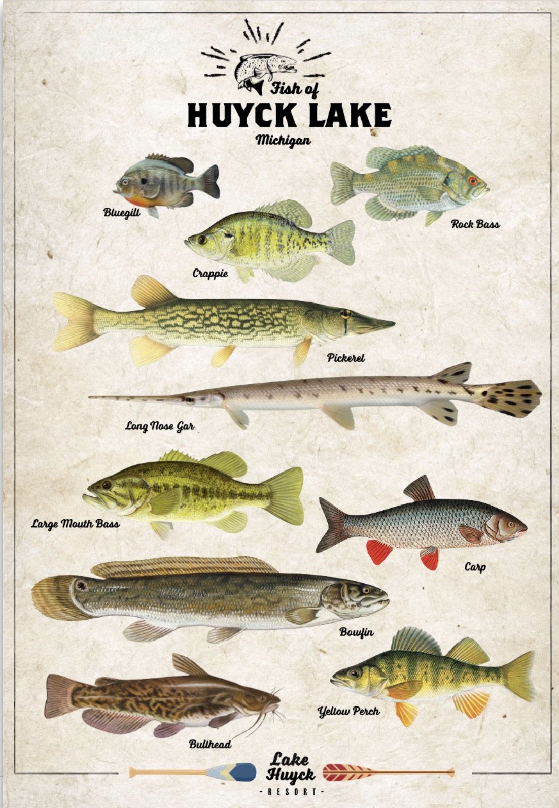 Fish of Huyck Lake, Michigan — illustrated guide showing Bluegill, Crappie, Rock Bass, Pickerel, Long Nose Gar, Large Mouth Bass, Carp, Bowfin, Yellow Perch, and Bullhead