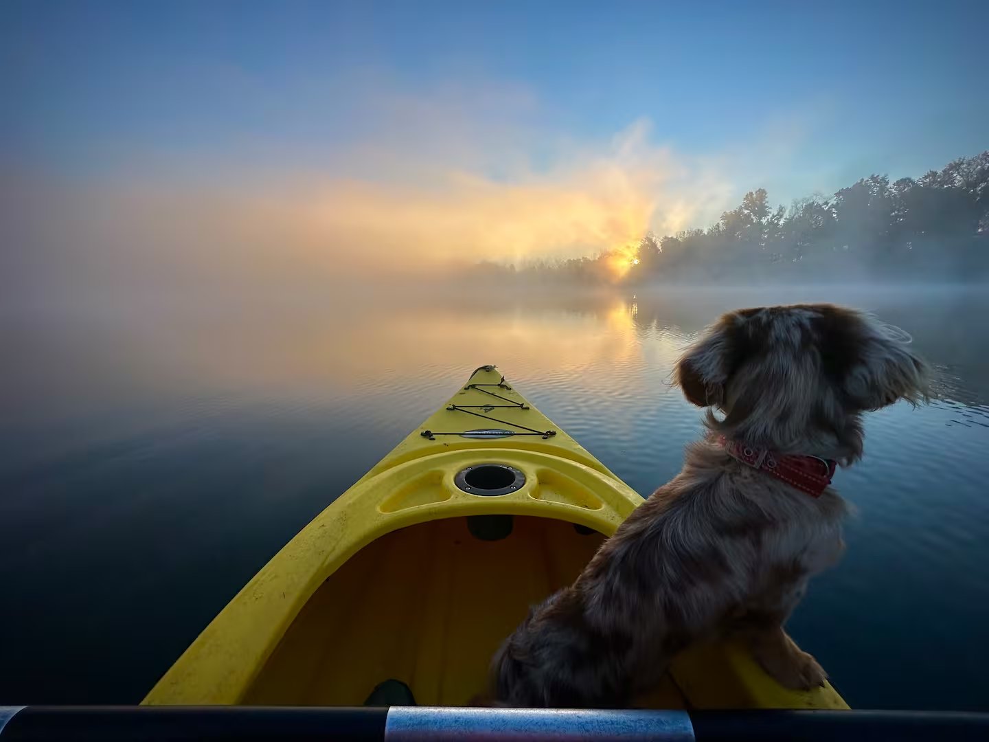 Kayaking with dog