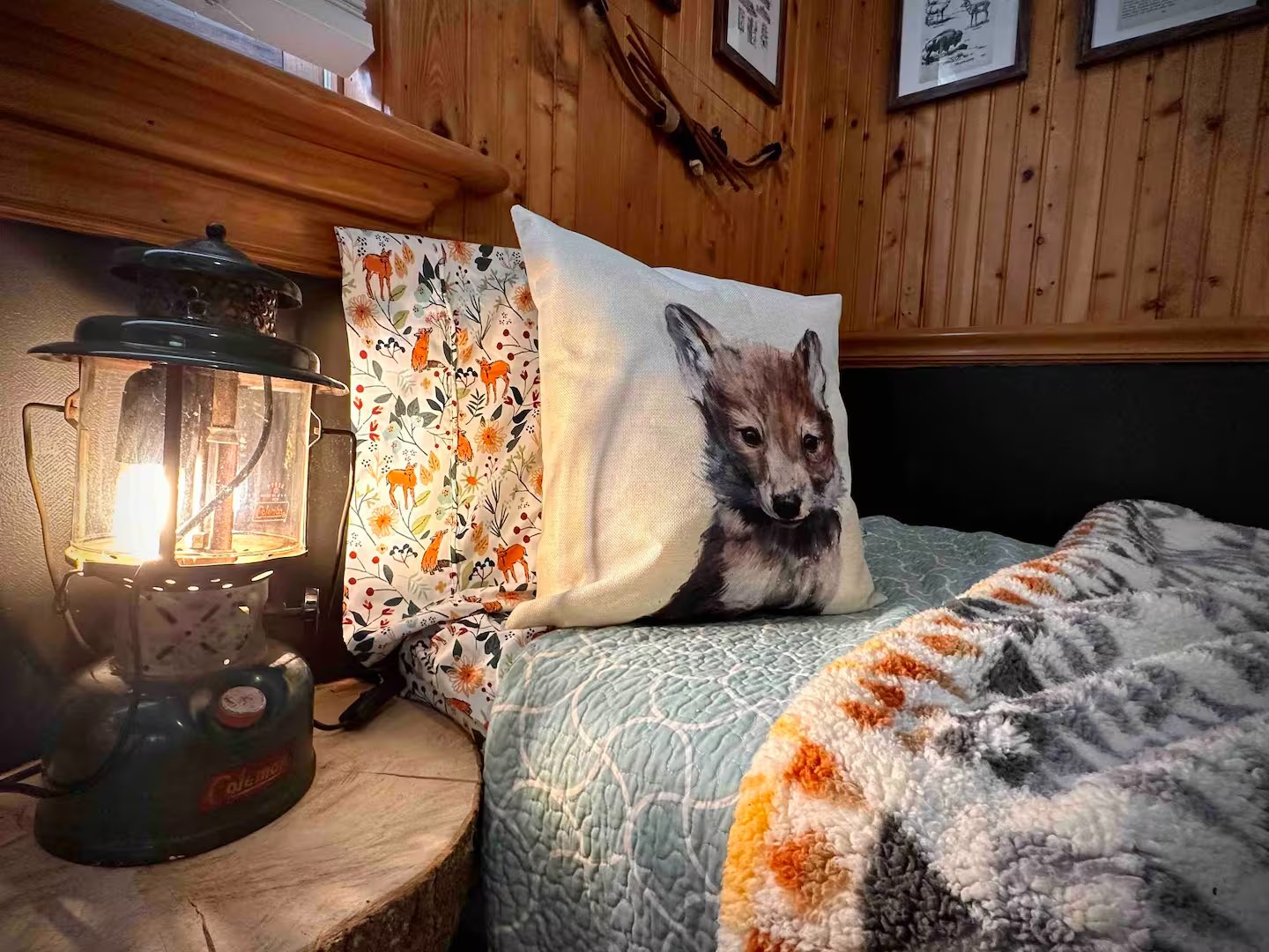 Coleman lantern and fox pillow